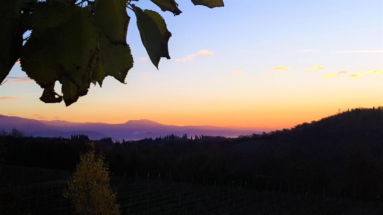 Agriturismo La Guarda Picedo Kültér fotó
