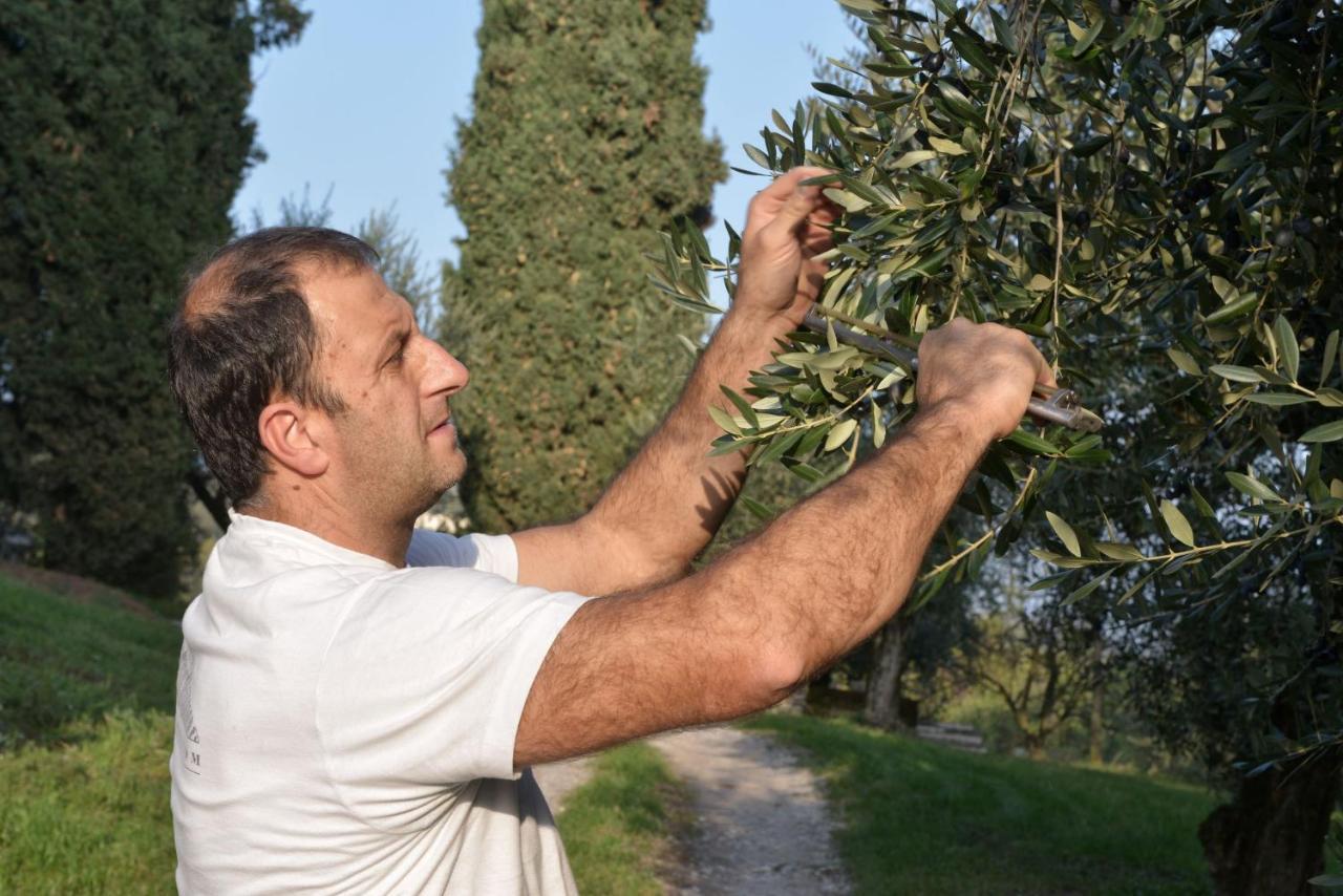Agriturismo La Guarda Picedo Kültér fotó