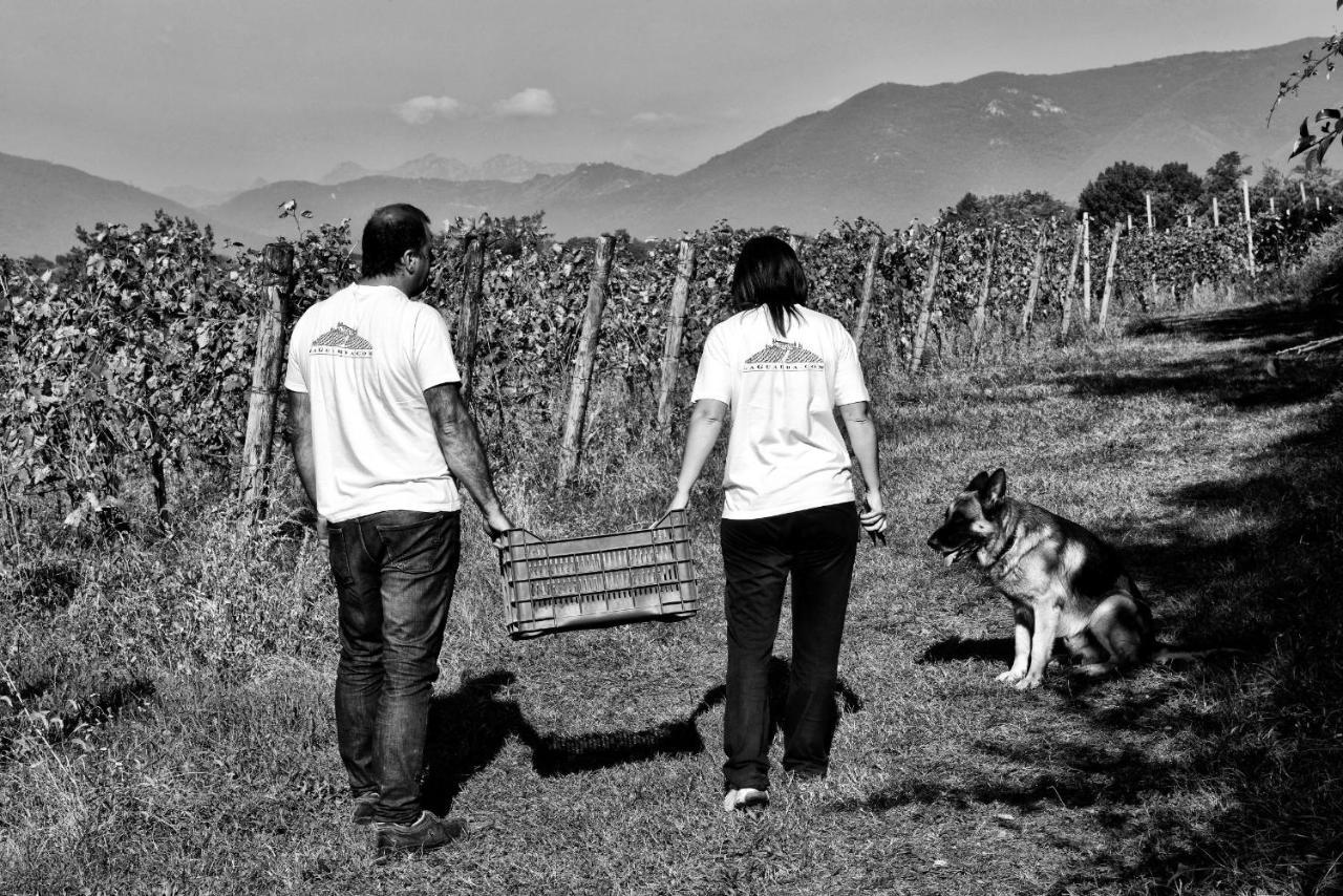 Agriturismo La Guarda Picedo Kültér fotó