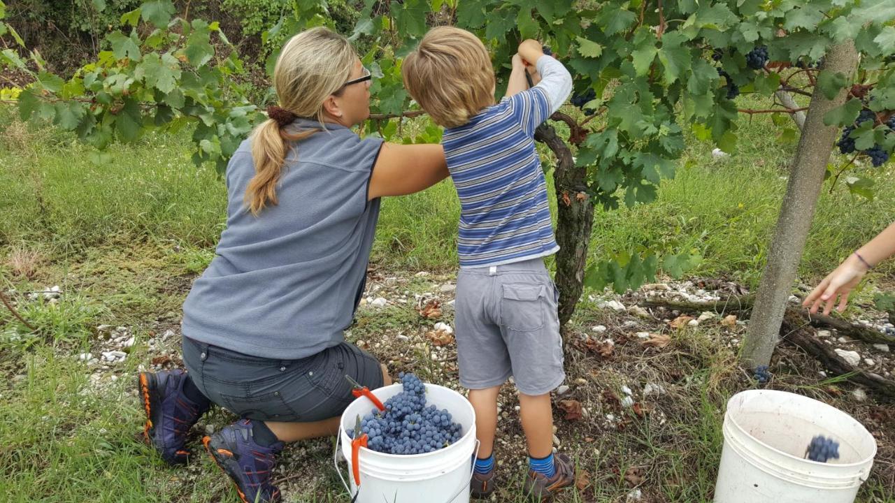 Agriturismo La Guarda Picedo Kültér fotó