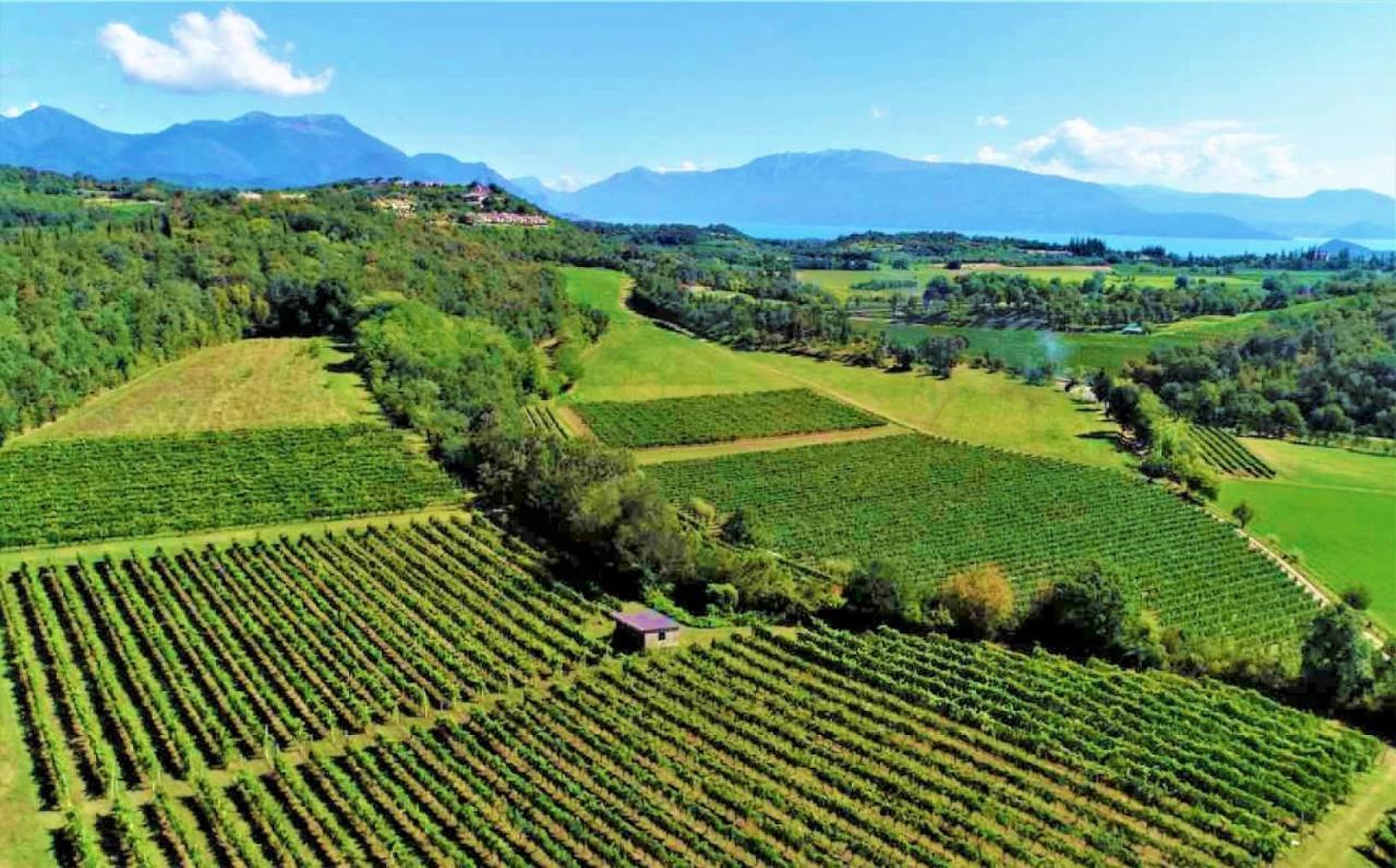 Agriturismo La Guarda Picedo Kültér fotó